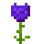Iolite Glowrose icon