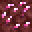 Nether Rose Quartz Ore icon