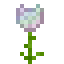 Opal Glowrose icon