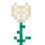 Pearl Glowrose icon