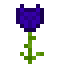 Tanzanite Glowrose icon