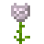 White Diamond Glowrose icon