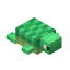 Baby Turtle icon