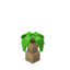 Palm Tree icon