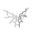 Web Head icon