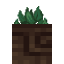 Potted Sweet Berries icon