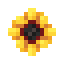 Sunflower icon