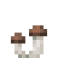 Potted Crimini icon