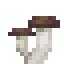 Potted Portabella icon