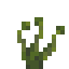 Potted Sporophyte icon