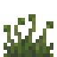 Sporophyte icon