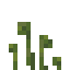 Tall Sporophyte icon