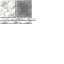 Calcite Windowsill Shop icon