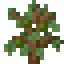 Avocado Sapling icon