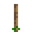 Cucumber Seeds icon