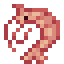 Shrimp icon