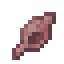 Roseate Seashell icon