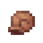 Tangerine Seashell icon