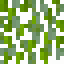 Blackberry Bush icon