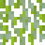 Blueberry Bush icon