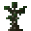 Canopy Tree Sapling icon