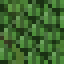 Hedge icon
