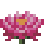 Huge Water Lily icon