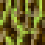 Liveroots icon