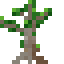 Mangrove Sapling icon
