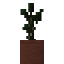 Potted Canopy Tree Sapling icon