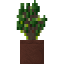Potted Robust Twilight Oak Sapling icon