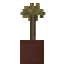 Potted Miner's Tree Sapling icon