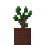 Potted Sickly Twilight Oak Sapling icon