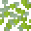 Raspberry Bush icon