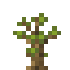 Sorting Tree Sapling icon