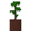 Potted Grongle Sapling icon