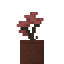 Potted Wigglewood Sapling icon