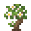 Dark Cherry Sapling icon