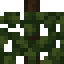 Grape Vine icon