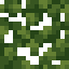 Grapevine Leaves icon