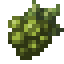 White Savanna Grapes icon