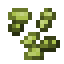 White Taiga Grape Seeds icon