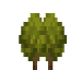 Hazelnut Bush icon